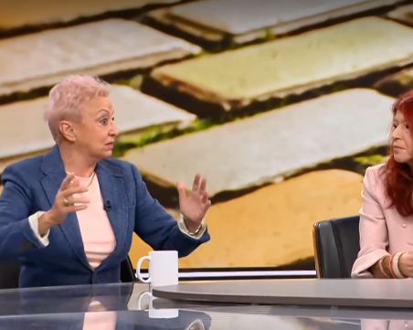 Скандалите в митниците: Имало ли е политически натиск?