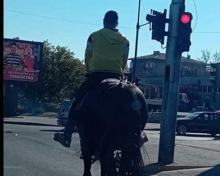 Мъж реши проблема с транспорта в Пловдив, качи се на кон