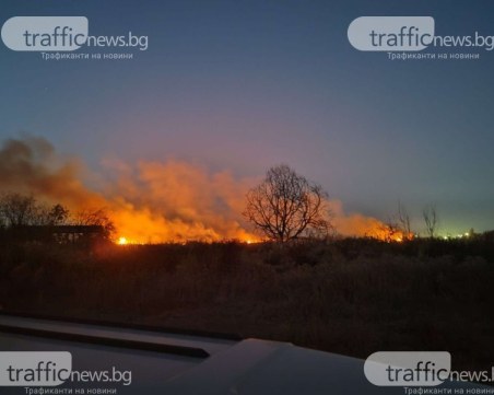 Пуснаха срещу 5000 лв. свинаря, задържан за пожара край Катуница