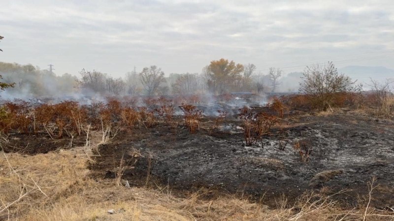 Свинарят, задържан за пожара край Катуница, с наказание до дни