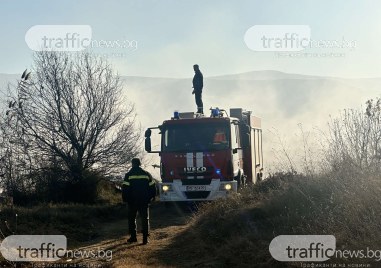 Пожарът който пламна край Митница Пловдив е овладян На място