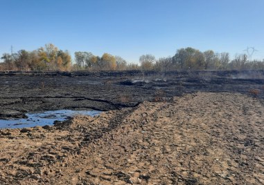 Въздухът в Пловдив и близките населени места се изчисти Екипите