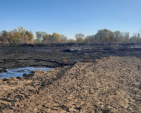 Въздухът в Пловдив и близките населени места се изчисти