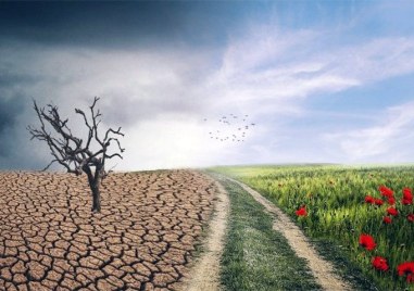 Половината българи смятат приспособяването към климата за национален приоритет сочи