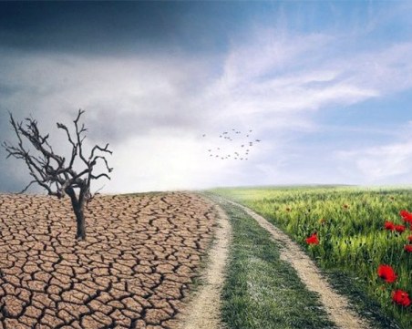 Половината българи смятат приспособяването към климата за национален приоритет