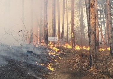 Над 90 от пожарите в Пловдивска област са причинени от