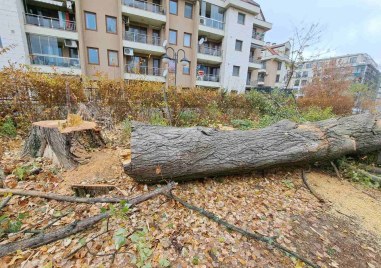 Пловдивчани живеещи ЖК Марица Гардънс скочиха срещу премахване на огромно