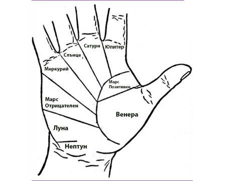 Скритите послания: Какво показват линиите на ръката ви?