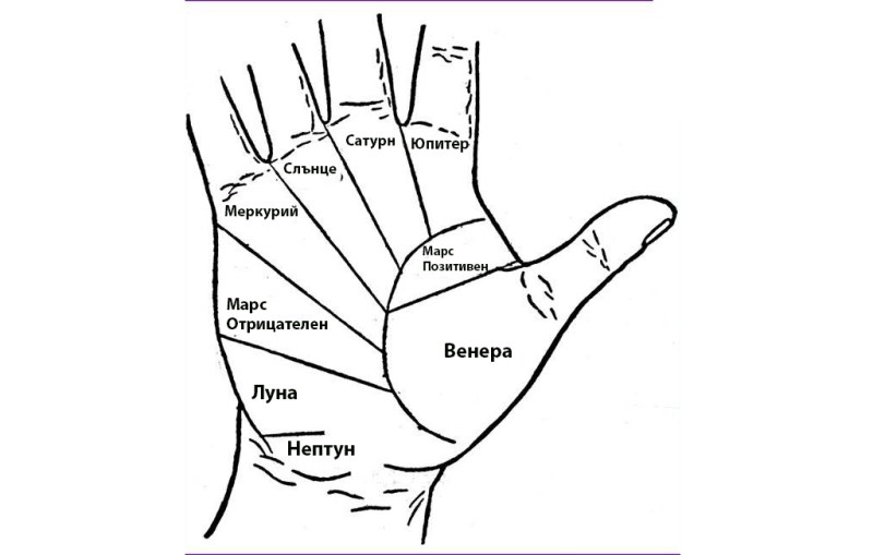 Скритите послания: Какво показват линиите на ръката ви?