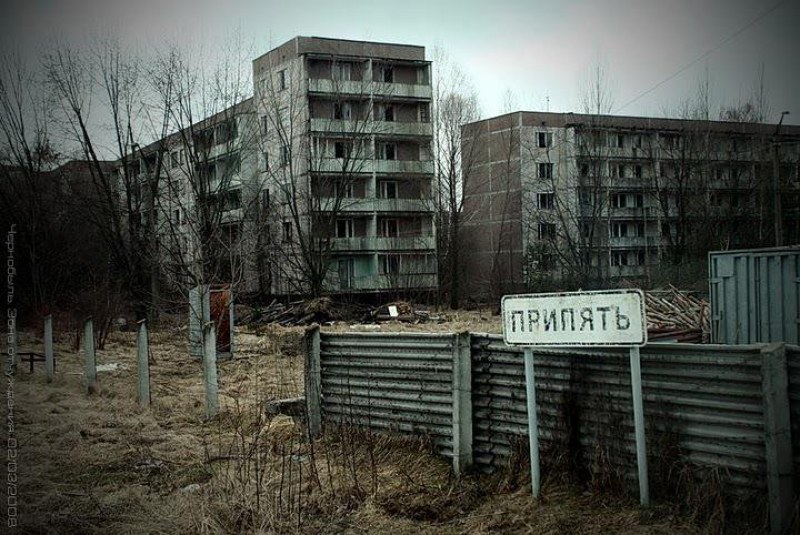 Откриха мутирали черни жаби в зоната около „Чернобил