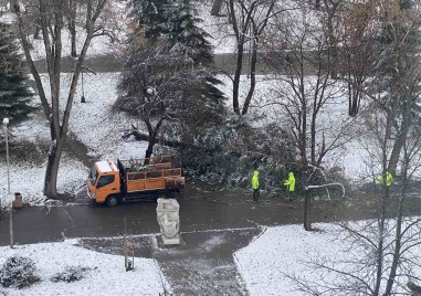 Снежна покривка в София рано тази сутрин Силният вятър и