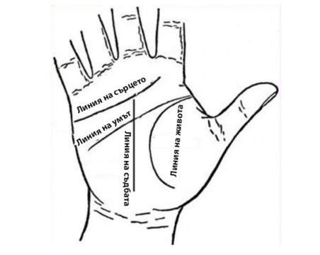 Скритите послания: Основните линии на дланта ви и техните значения