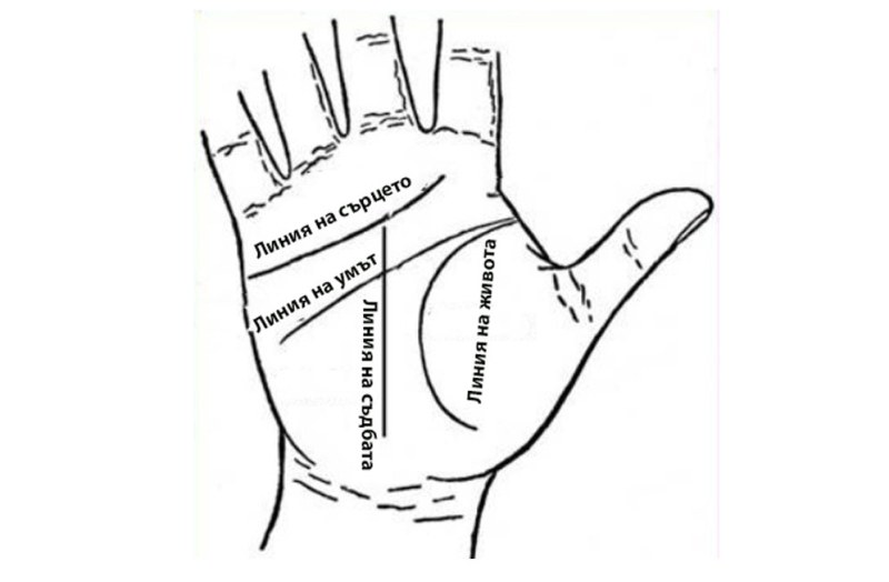 Скритите послания: Основните линии на дланта ви и техните значения