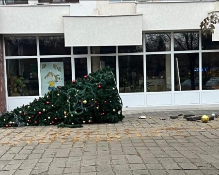 Вандали събориха коледната елха в район 