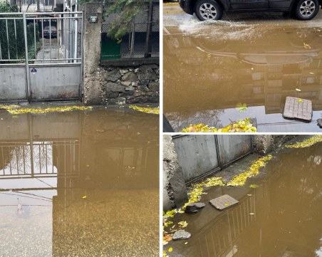 Улица в центъра на Пловдив тъне в кал и локви при всеки дъжд, нужни са близо 400 000 лв. за ремонта й