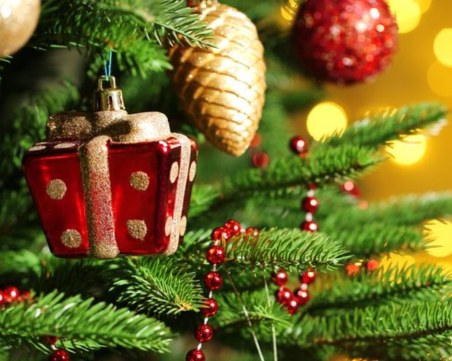 Коледната елха в район 