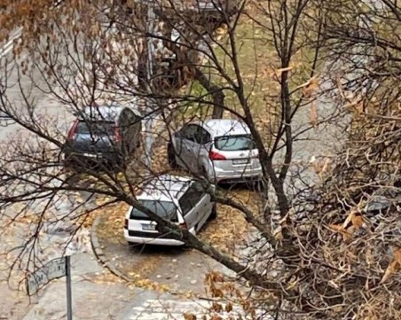 Пловдивчанка за поредното безумно паркиране: Кога ще има глоби?