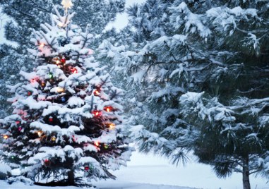 До края на работната седмица валежи не се очакват В