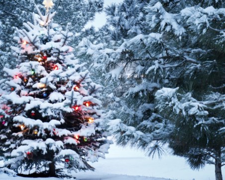 По-ниски температури около Коледа! Ще има ли и сняг?
