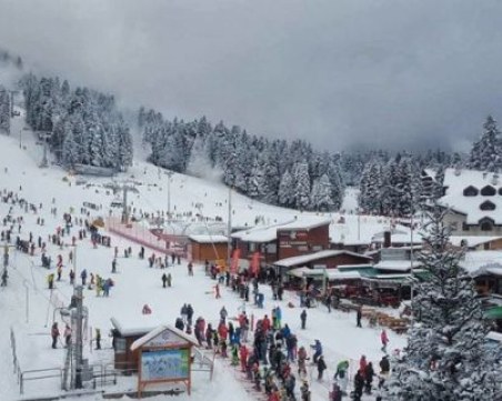 Инцидент на ски станция в Грузия, 12 души са загинали