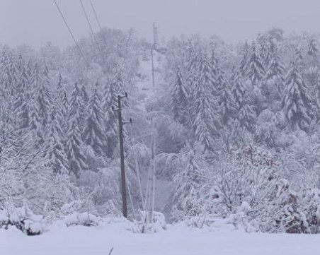 Възстановиха голяма част от електрозахранването в Западна България