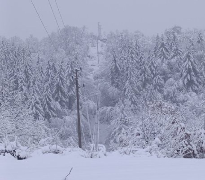 Възстановиха голяма част от електрозахранването в Западна България