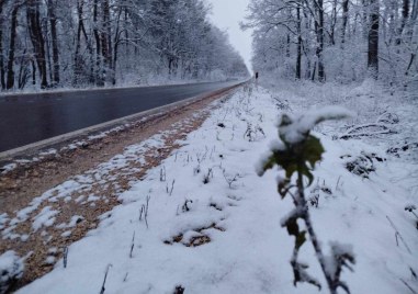 Пети ден продължават проблемите с тока в десетки населени места