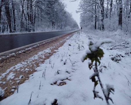 Пети ден продължават проблемите с тока в десетки населени места