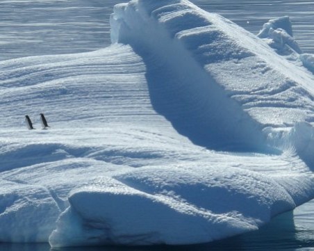Северният магнитен полюс на Земята се 