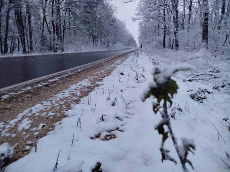 Пети ден продължават проблемите с тока в десетки населени места,