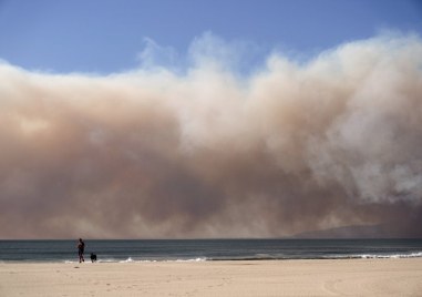 Извънредно положение е обявено в американския град Лос Анджелис щата