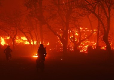 11 са вече жертвите на опустошителните пожари в Лос Анджелис