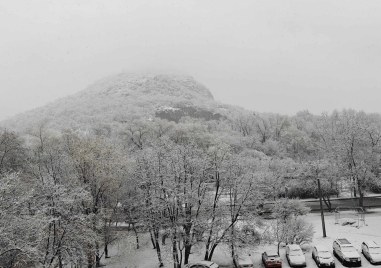 Първи снеговалеж за тази зима се случи в Пловдив Пейзажът