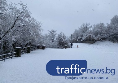 Зимна приказка оживя на Бунарджика Пловдивчани се разхождат по алеите