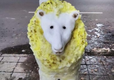 Изложбата на снежни скулптури в Пловдив продължава да удивлява минувачите