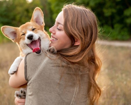 До една година: Пускат на пазара лекарство против стареене за кучетата