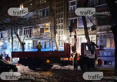 Дърво се е прекършило и с грохот е тръгнало да