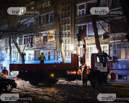 Дърво се прекърши и застраши паркирали автомобили в Пловдив