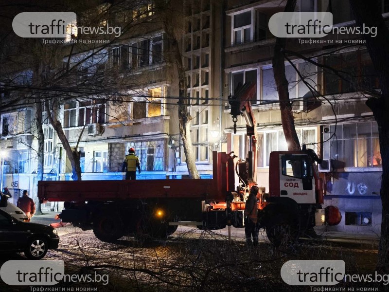 Дърво се прекърши и застраши паркирали автомобили в Пловдив