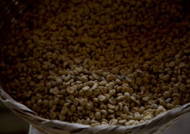 Глобалните цени на кафето сорт арабика достигнаха днес рекордни върхове