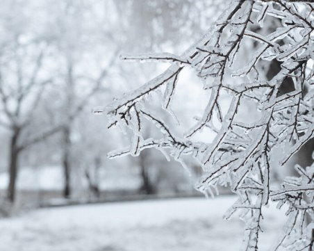 Отчетоха минус 34 градуса по Целзий в Източна Турция