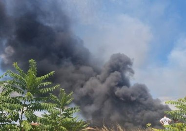 Пожар гори в птицеферма в чирпанското село Свобода в близост