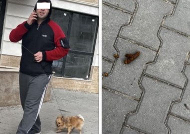 Чистотата на градската среда е отговорност на всички но за