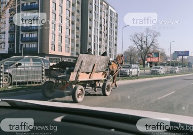 Пловдивчани който очевидно се е вживял в ролята си на