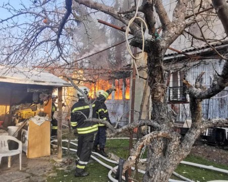 Пожар избухна в Ботаническата градина в Пловдив, двама са пострадали