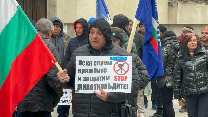 Със звън от чанове: Животновъди протестират пред пловдивския съд, искат мерки срещу кражбите на животни