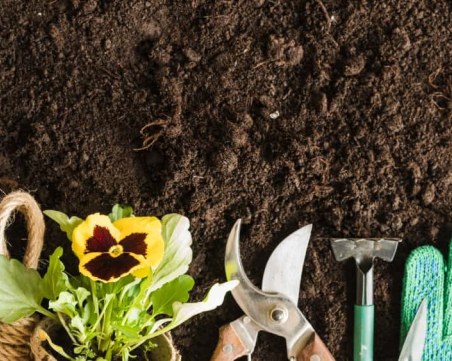 Градинарство за начинаещи: Как да планираме пролетната си градина?