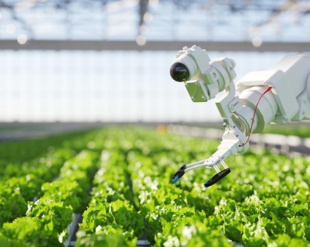 Работните места са в риск от изкуствения интелект