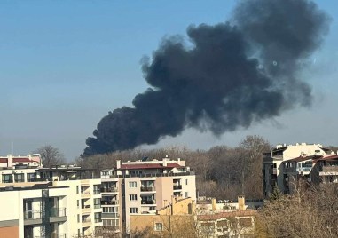 Голям пожар вилнее в северната част на Пловдив Черният дим