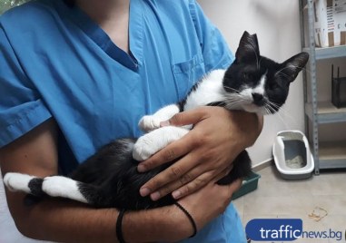 Проучване публикувано от Центъра за контрол и превенция на заболяванията